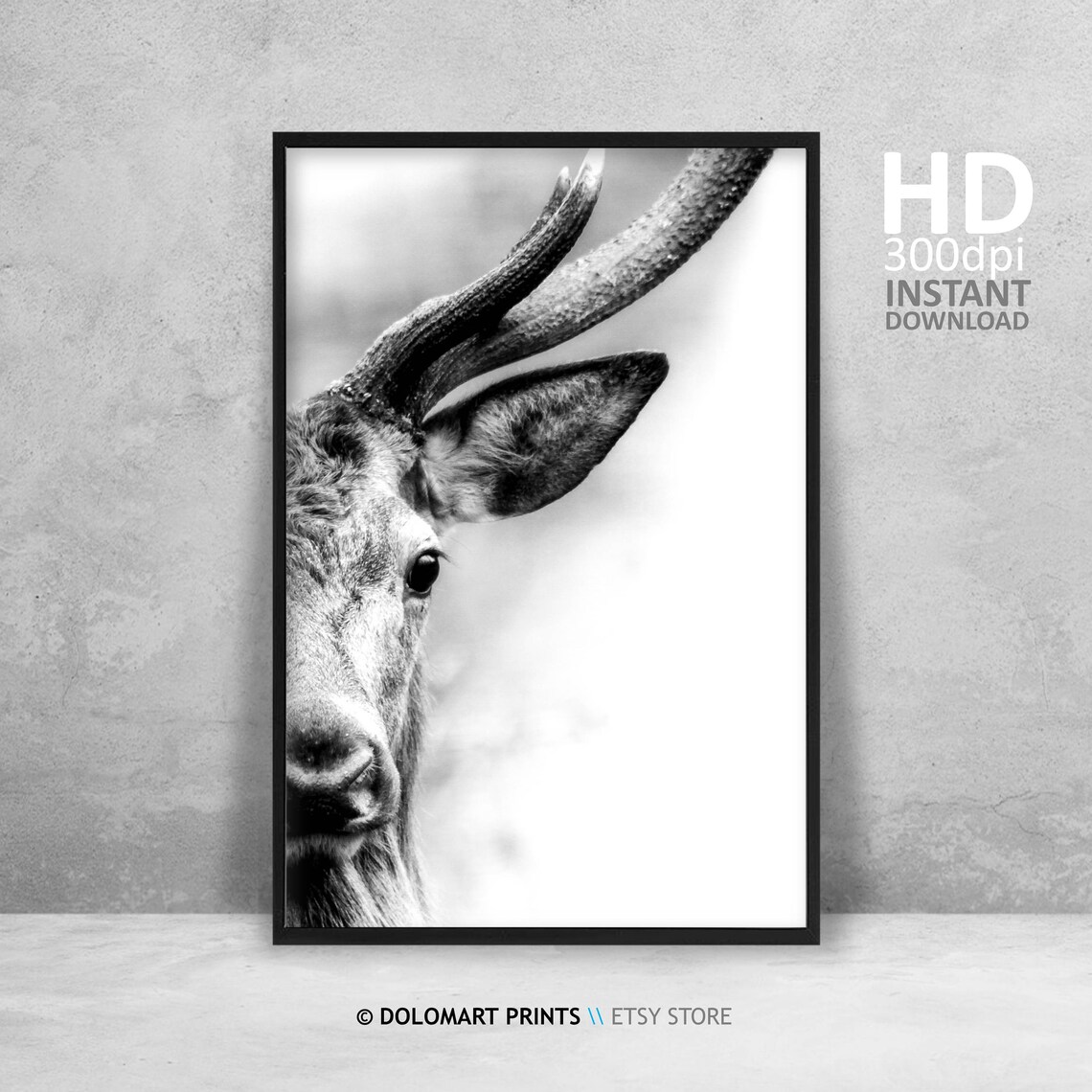 Deer Wilderness Photography Animal Art Print - Image 4