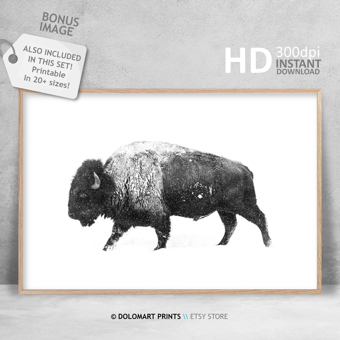 Bison Wilderness Photography Poster, Animal Wall Art - Image 3