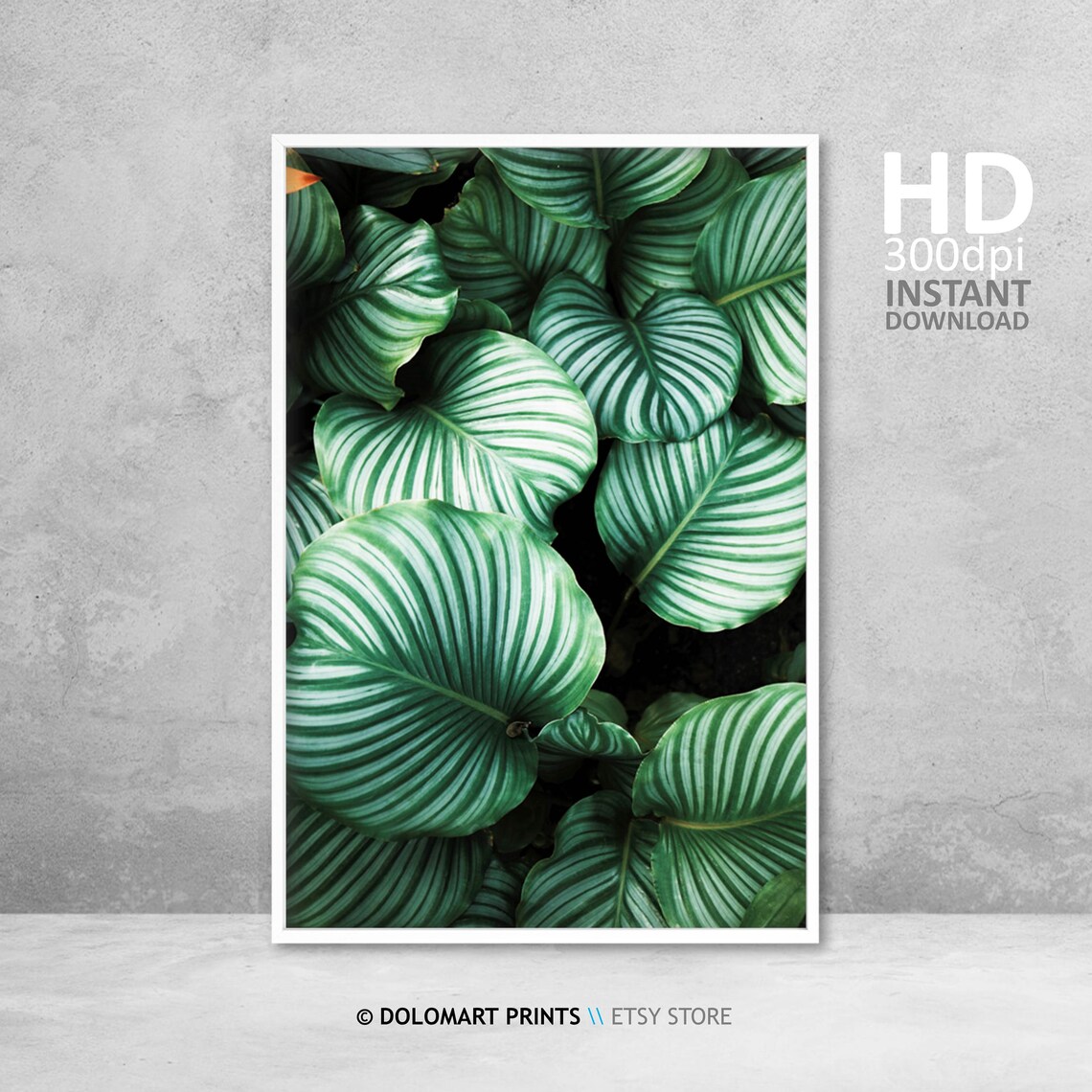 Monstera Tropical Plant Art Print, Botanical Decor