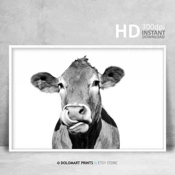 Rustic Cow Print, Minimalist Black and White Art