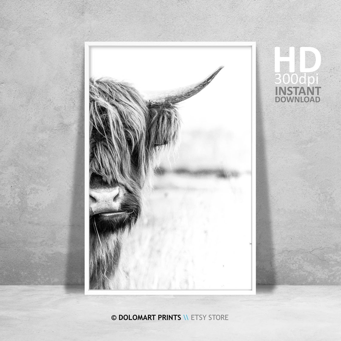 Cow Rustic Home Decor Poster Print