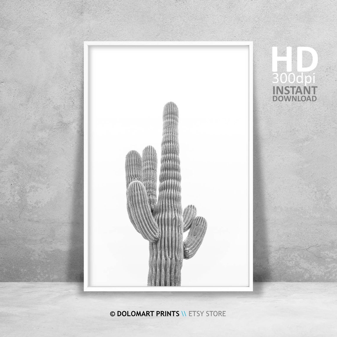 Saguaro Cactus Black And White On White Background Desert Plant Poster