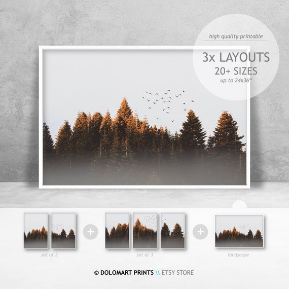 Scandinavian Minimal Forest Print Tree Print Horizontal Prints Pine Tree Prints Rustic Wall Decor Nature Photography Prints