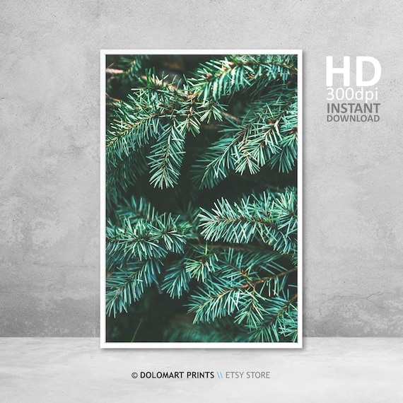 Pine Tree Forest Art Print, Mountain Landscape