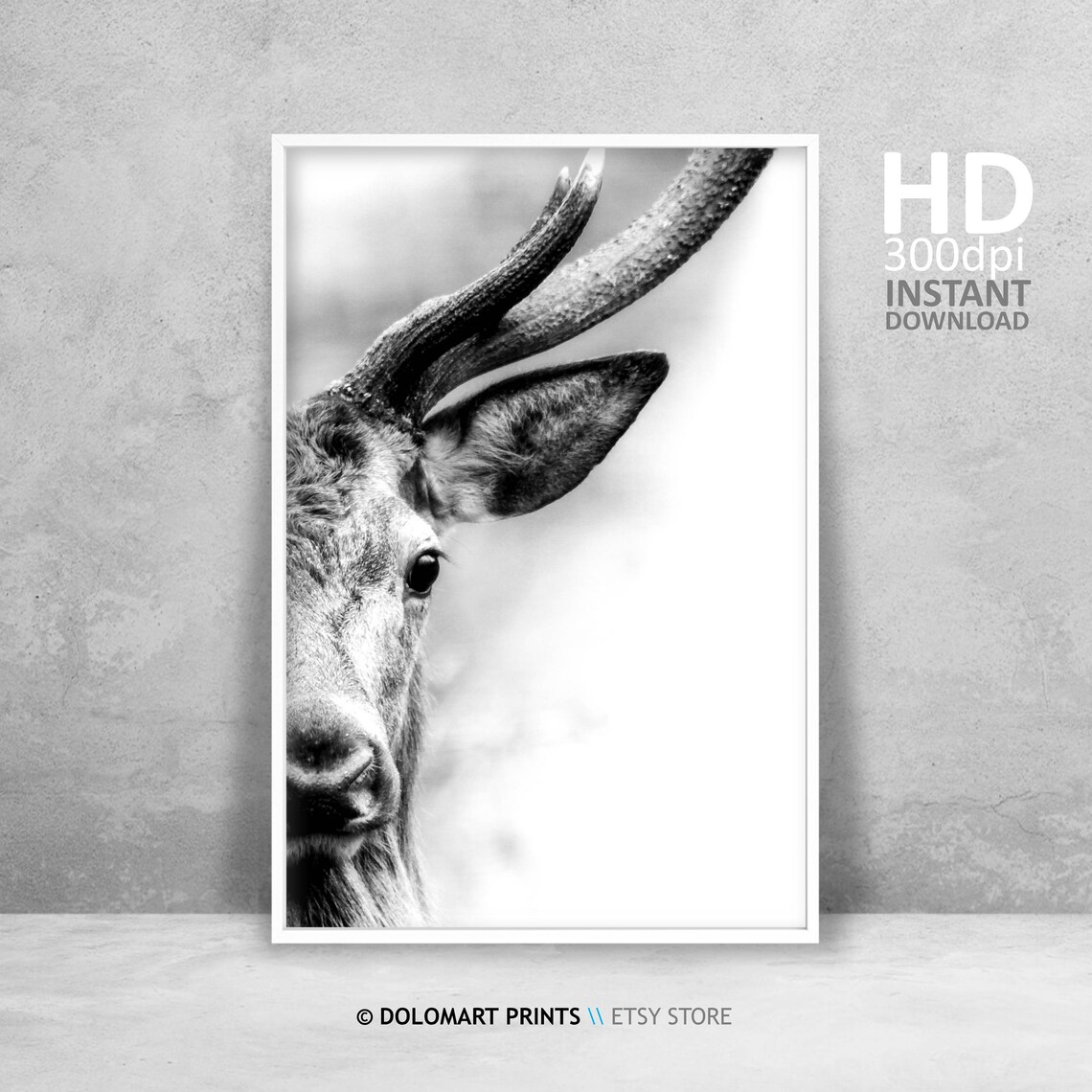 Deer Wilderness Photography Animal Art Print