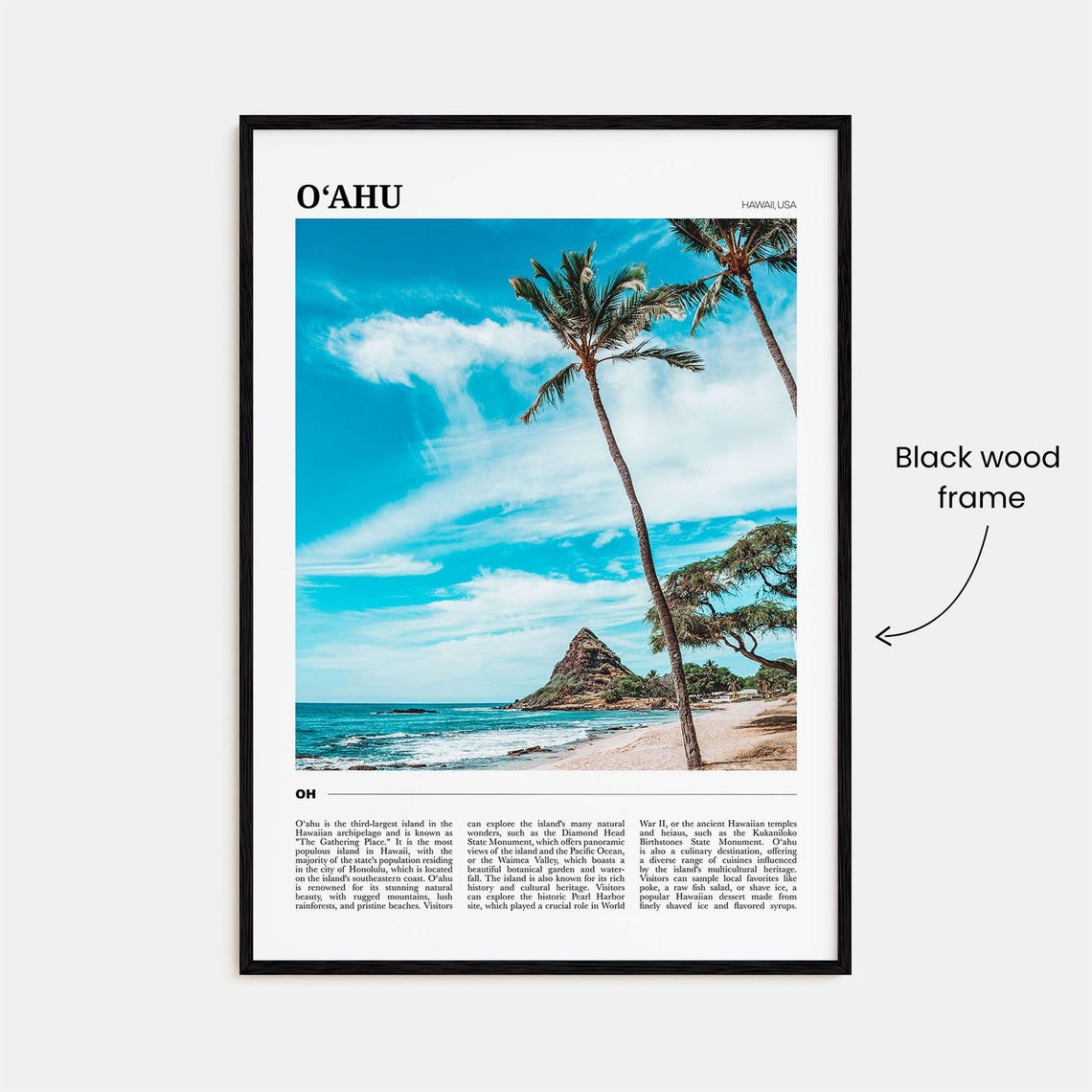 Oahu Hawaii Palm Tree Beach Tropical Ocean View Travel Poster - Image 2