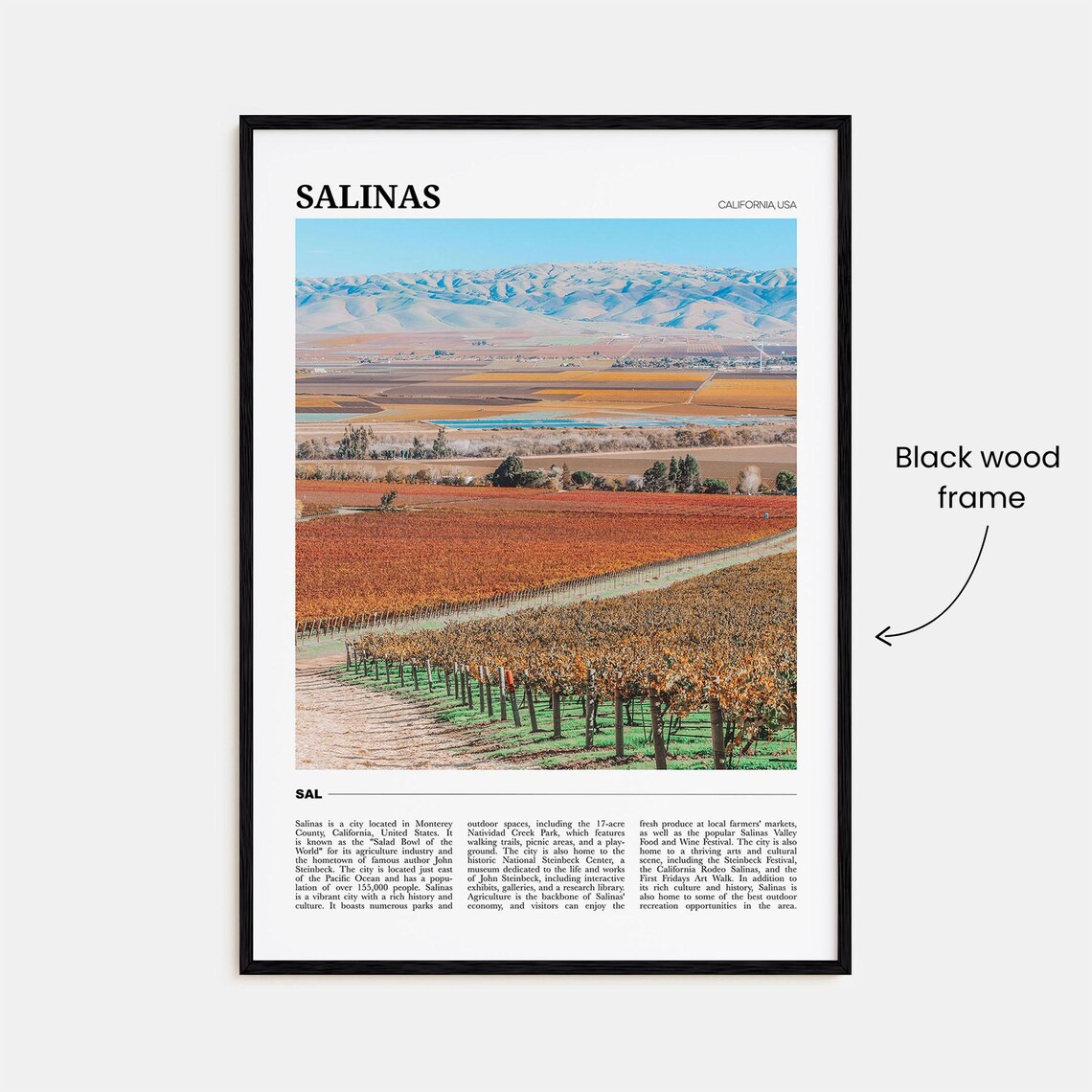 Salinas Travel Poster, California USA Art Print - Image 2