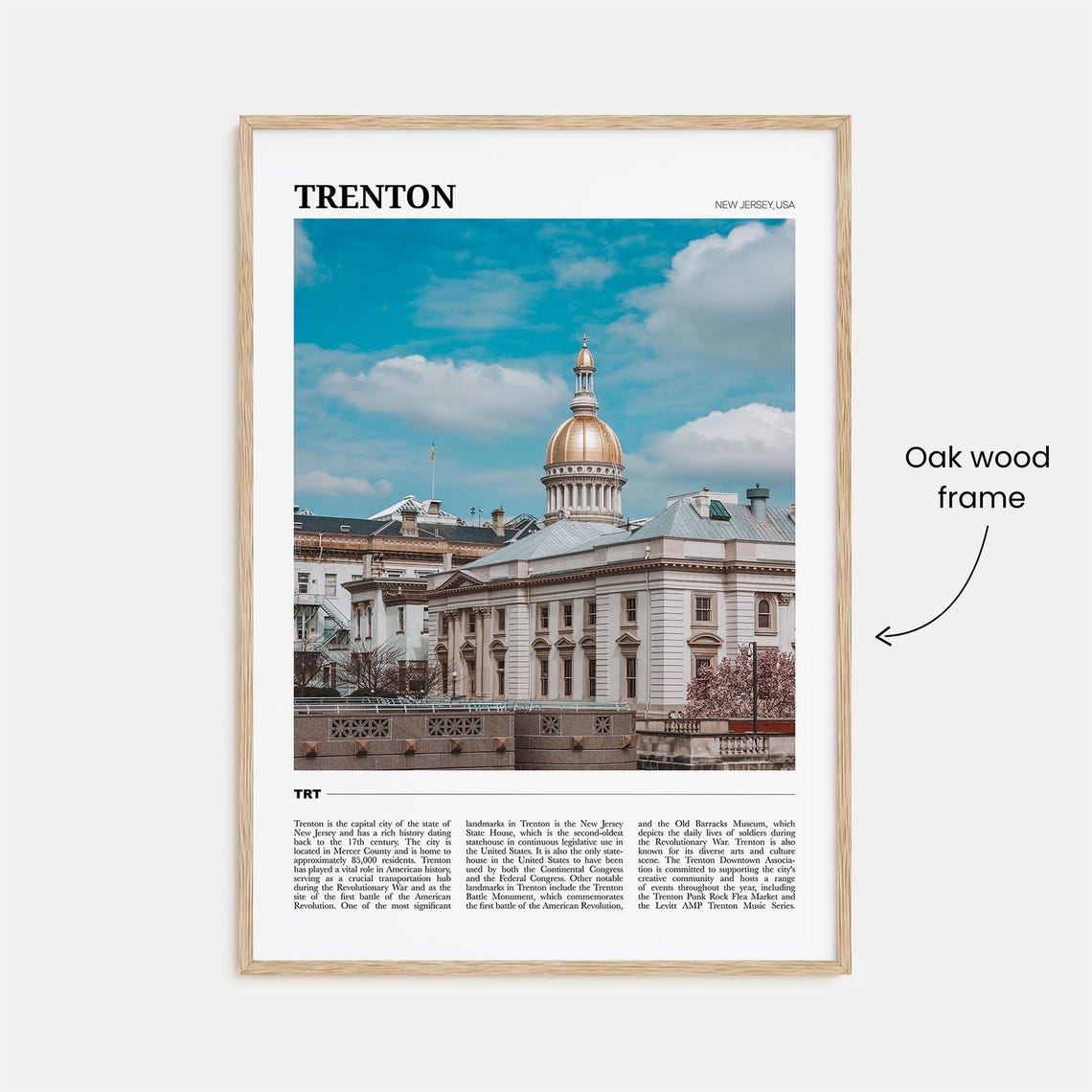 Trenton Travel Poster Trenton Wall Art Trenton Poster Print Trenton Photo Trenton Decor New Jersey Usa - Image 3