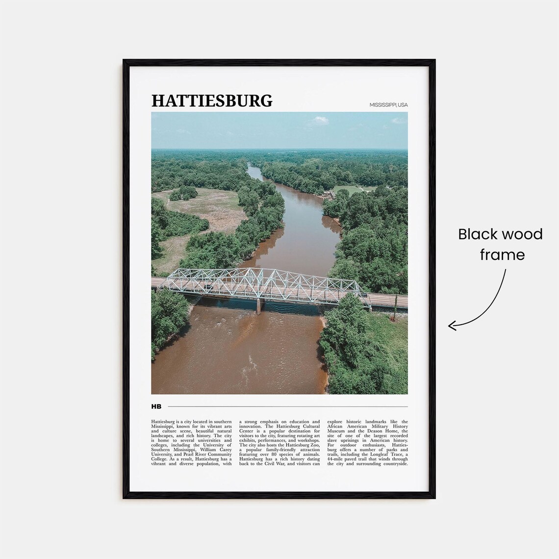 Hattiesburg Mississippi USA River Truss Bridge Forest Travel Poster - Image 2