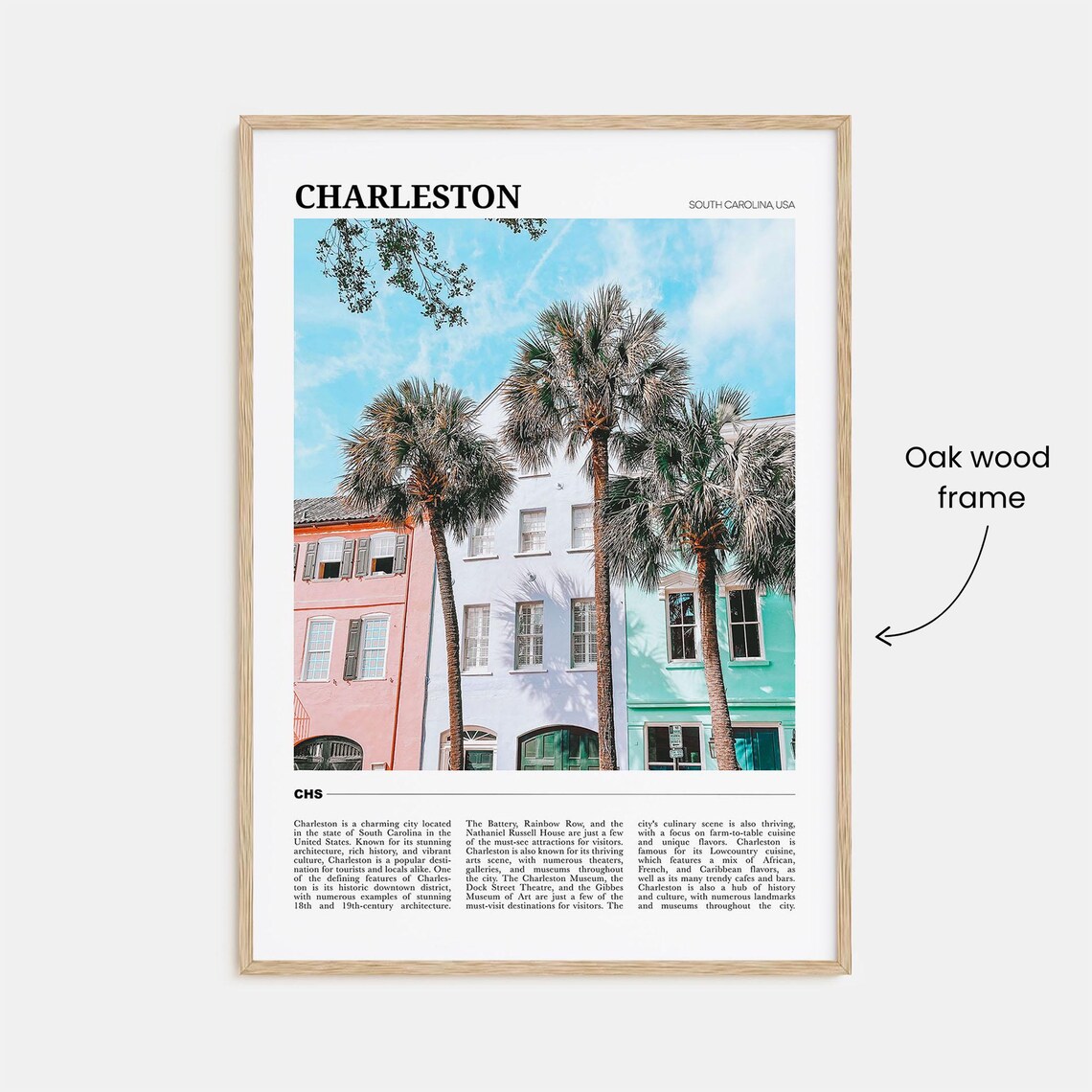 Charleston South Carolina Travel Poster No. 2 - Image 3