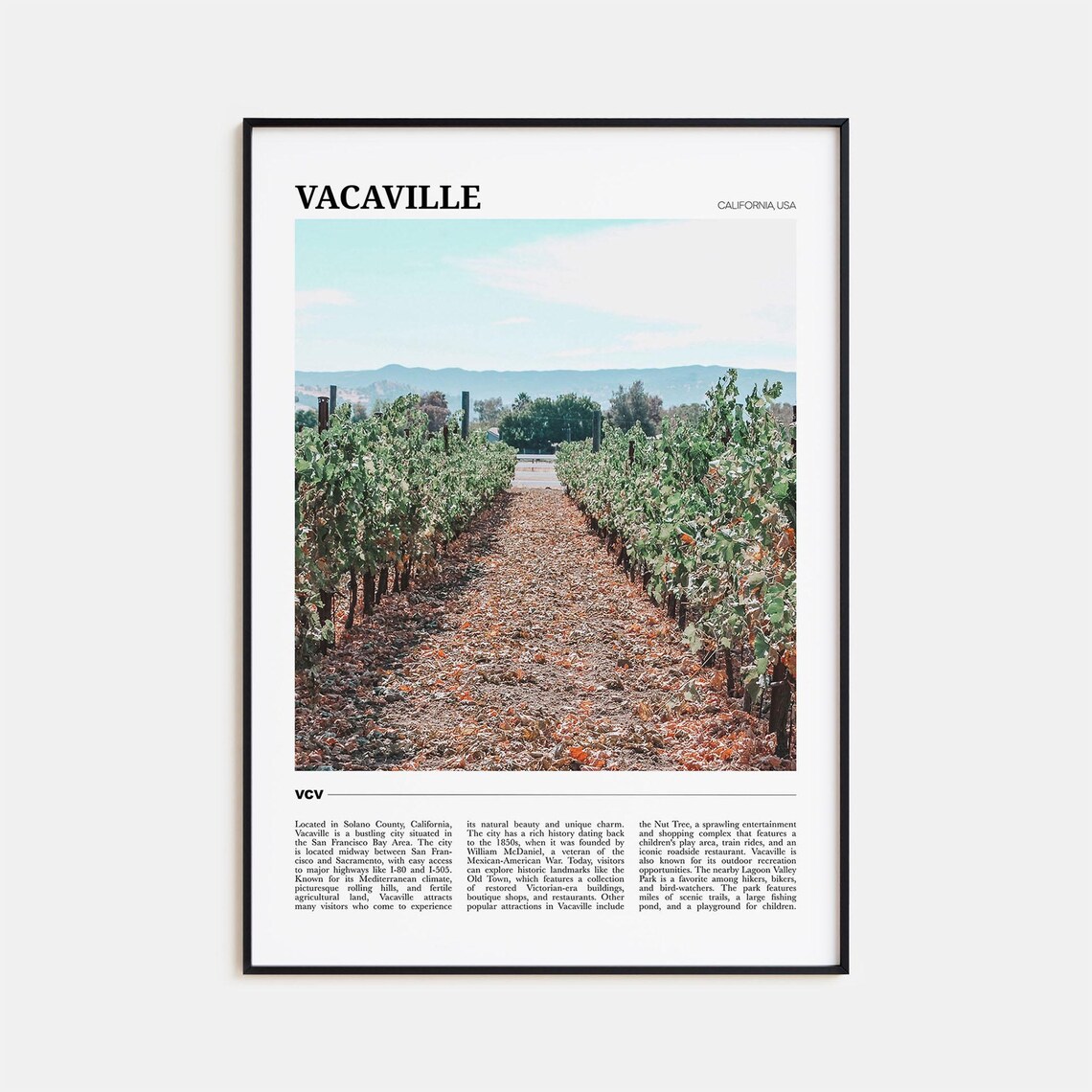 Vacaville California Vineyard Rows Wine Country Scenic Travel Poster