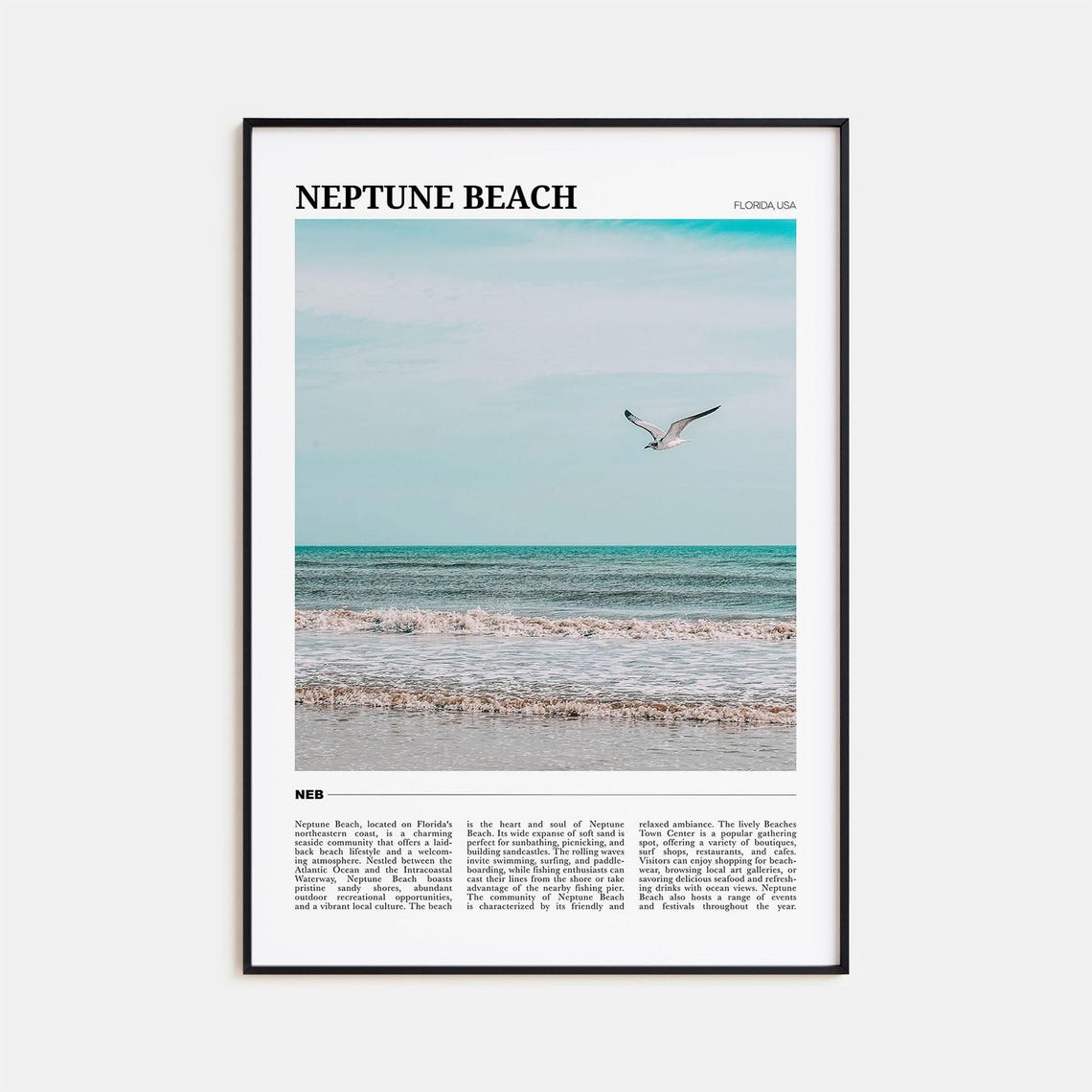 Neptune Beach Florida Seagull Over Ocean Waves Travel Poster