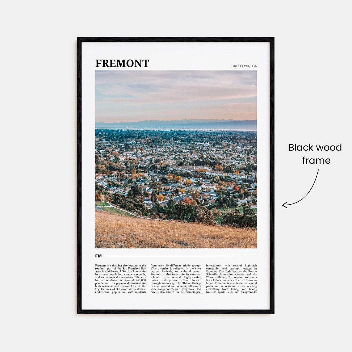 Fremont Travel Poster, California USA Travel Poster - Image 2