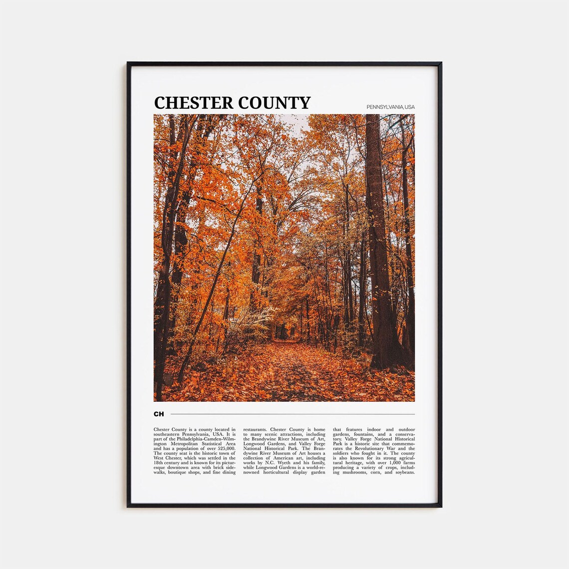 Chester County Pennsylvania Travel Poster Autumn Forest Foliage View