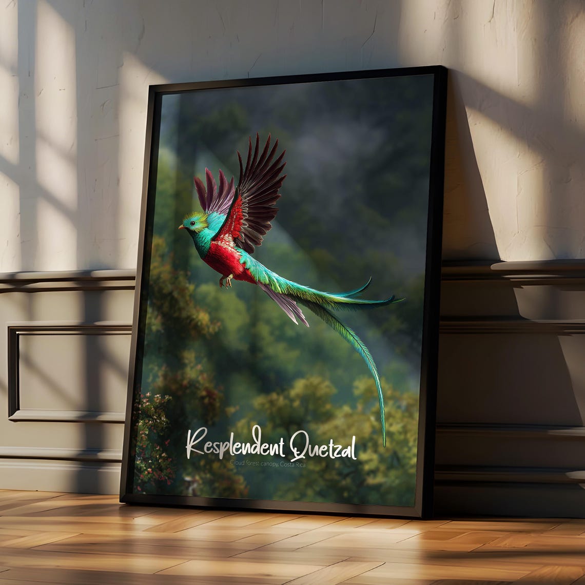 Resplendent Quetzal In Flight Costa Rica Cloud Forest Poster