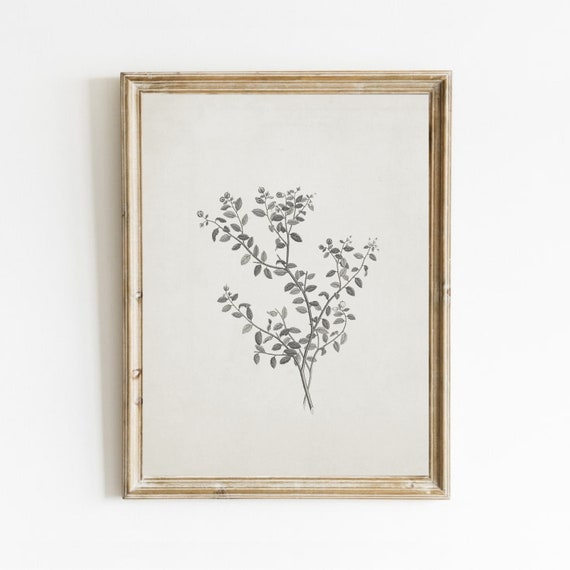 Botanical Branch Drawing, Vintage Neutral Art Print