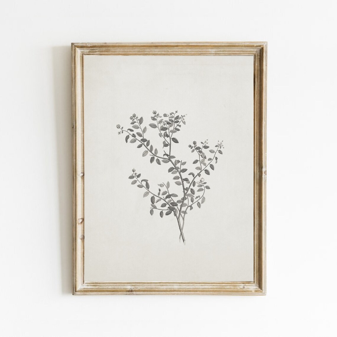 Botanical Branch Drawing, Vintage Neutral Art Print