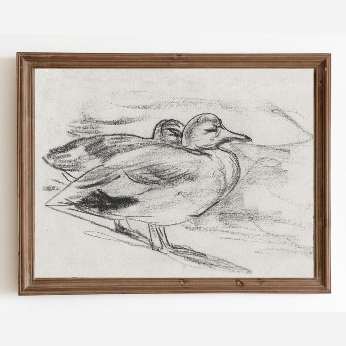 Sleeping Duck Resting Antique Wild Charcoal Bird Sketch Wall Art