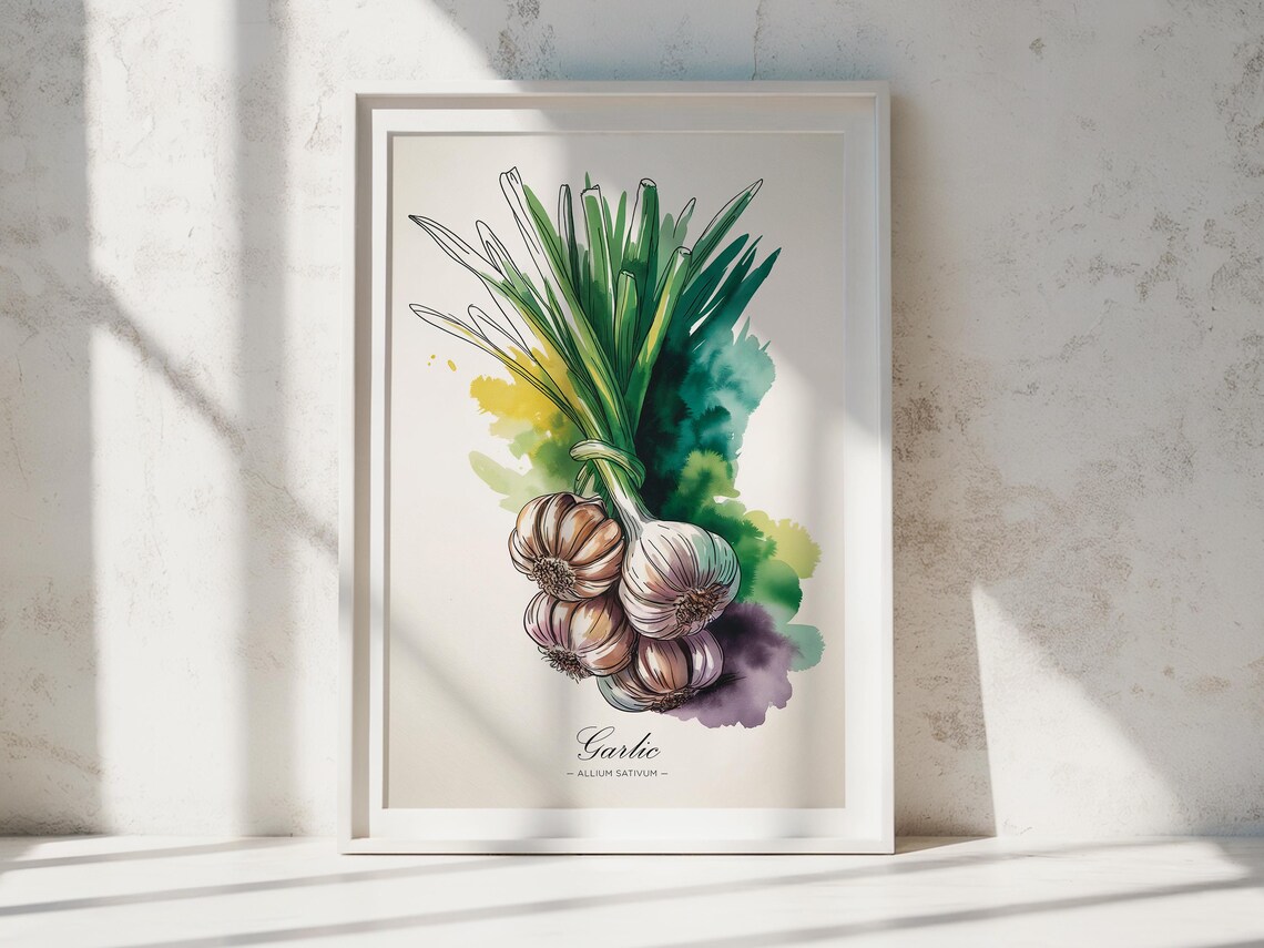 Garlic Watercolor Print Botanical Kitchen Wall Art