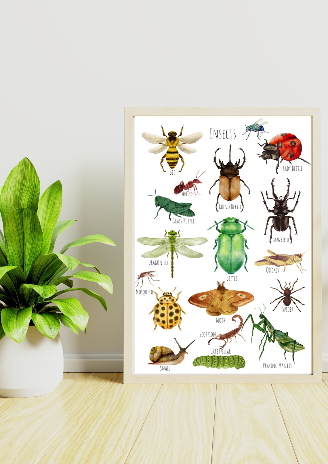Insects Bugs Art Print, Unique Insect Study