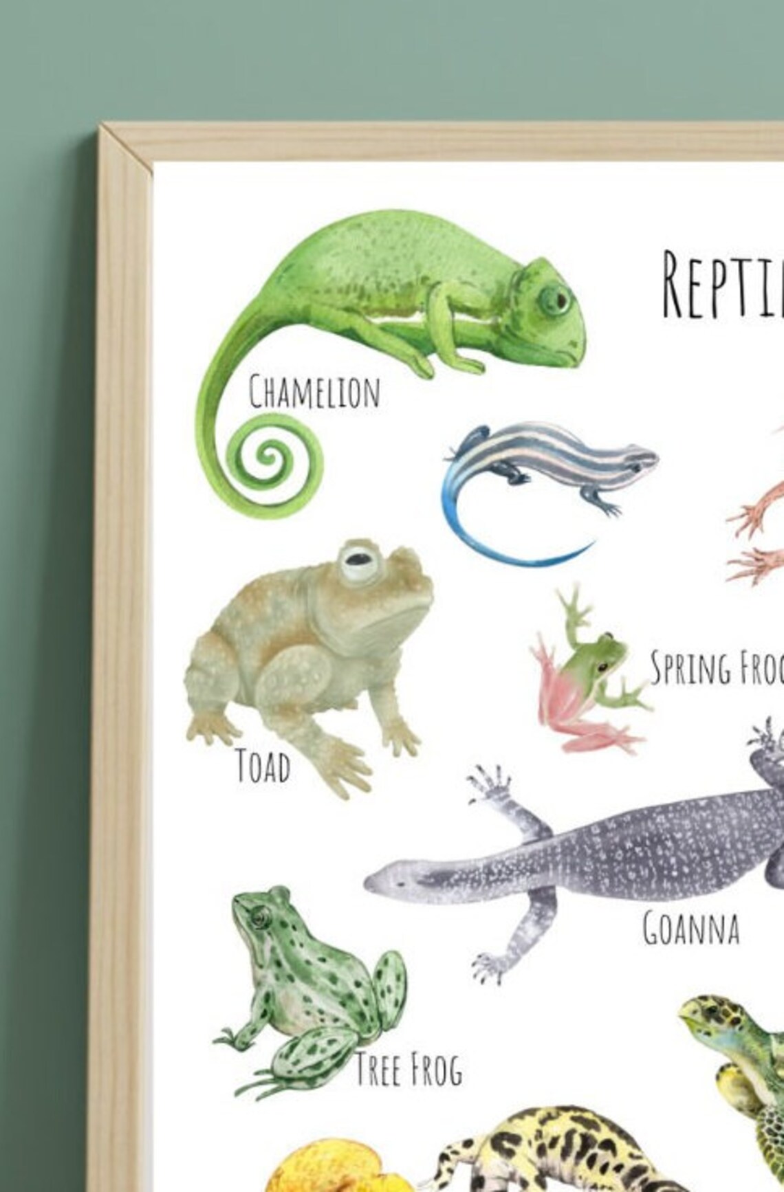 Reptiles Poster, Unique Reptile Art Print - Image 3
