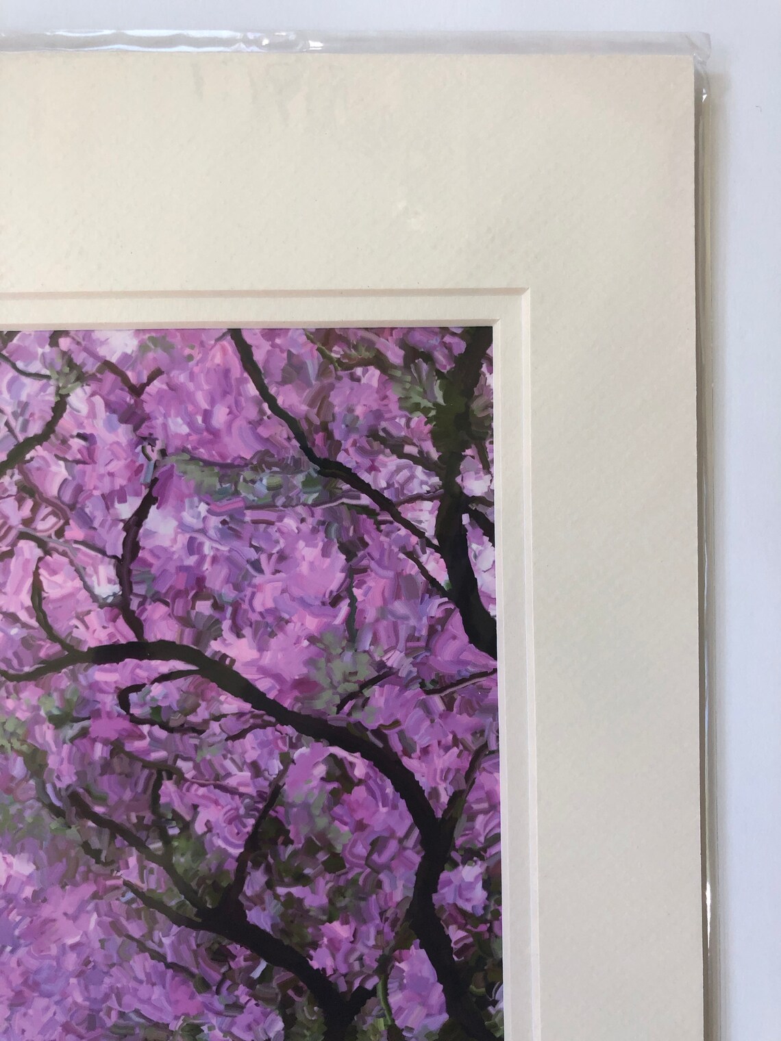 Jacaranda Trees 11x14 Matted Print Jacaranda In Landscape Prints Clearance Sale On Prints - Image 2
