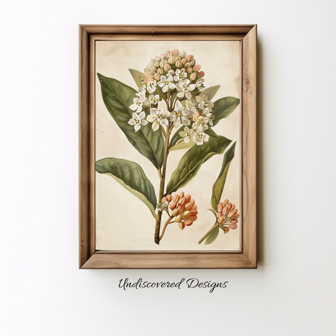 Vintage Milkweed Botanical Art Print