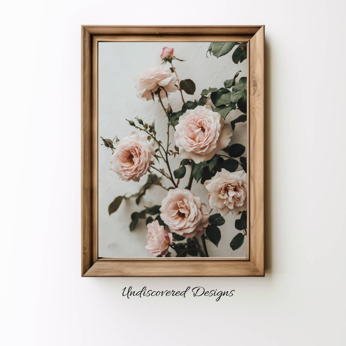 Vintage Pink Garden Roses Still Life Botanical Photography Poster