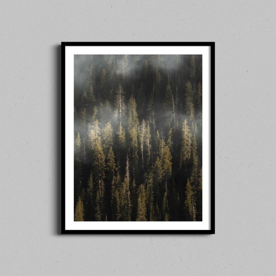 Scandinavian Forest Wall Art Evergreen Foggy Trees Artwork Nature Photography Print Minimal Abstract Home Decor Nordic Landscape Photo