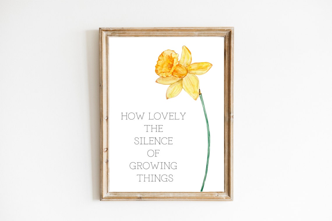 How Lovely the Silence of Growing Things Daffodil Flower Poster
