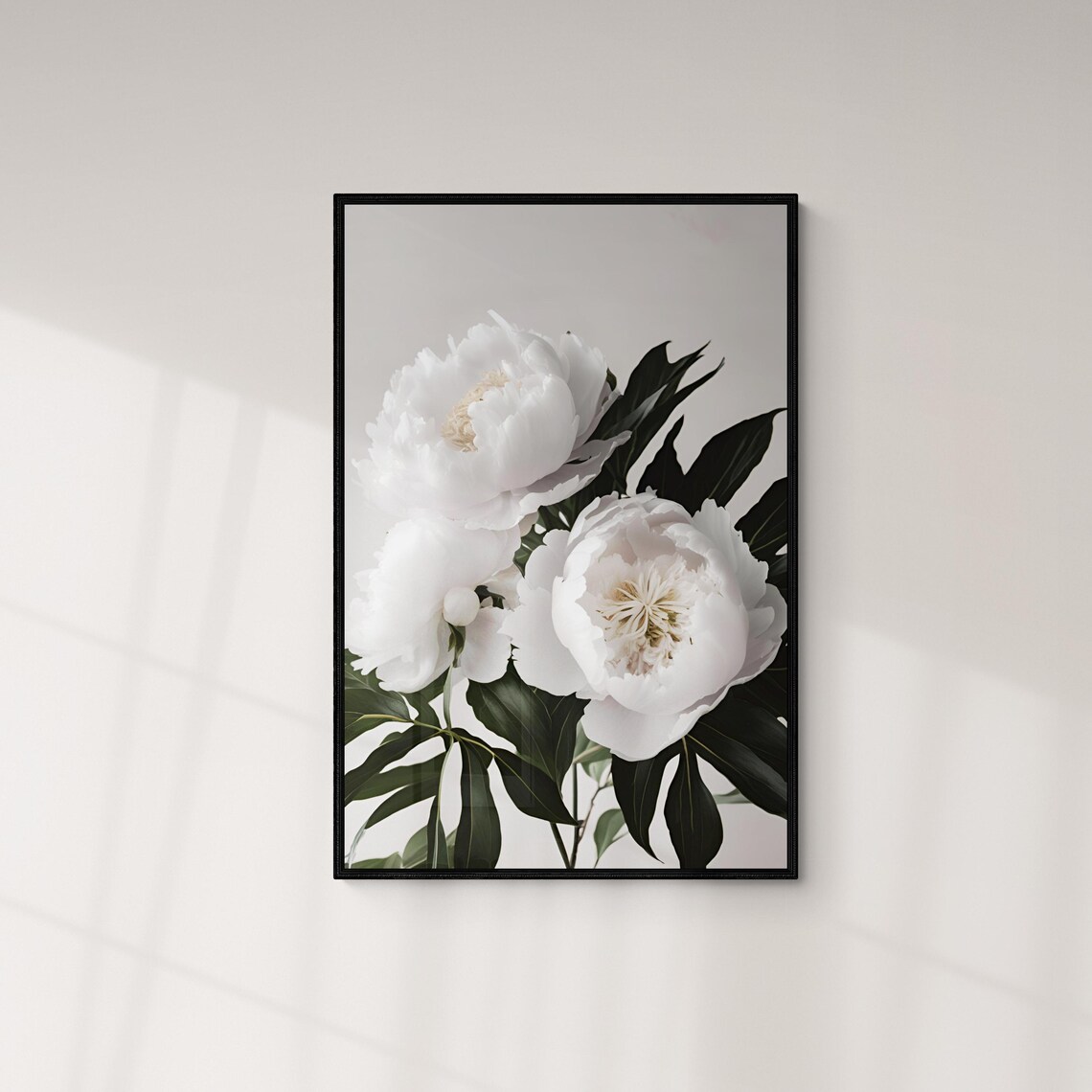 Elegant White Peony Blossoms Botanical Floral Photography Art Poster