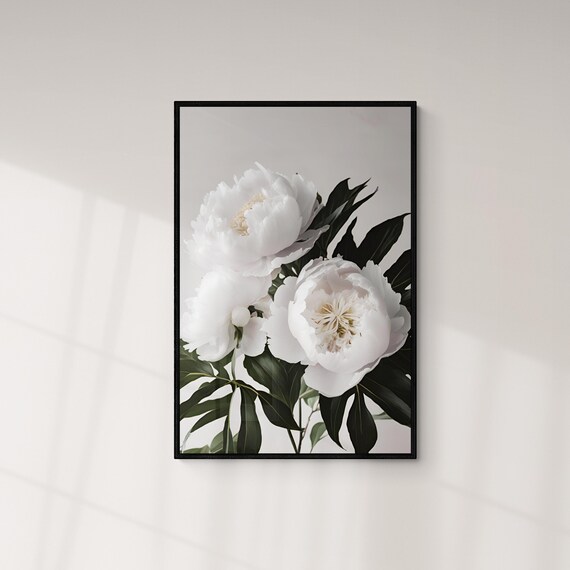 Elegant White Peony Blossoms Botanical Floral Photography Art Poster