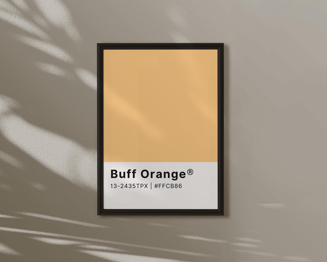 Buff Orange Sherbet Colour Swatch Card Playful Minimalist Poster
