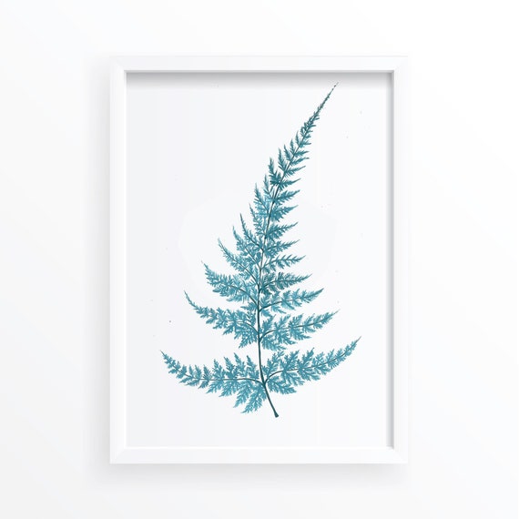 Fern Botanical Illustration Bathroom Wall Art Print