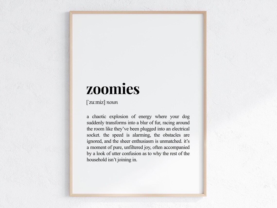 Zoomies Definition Funny Dog Parent Art Print