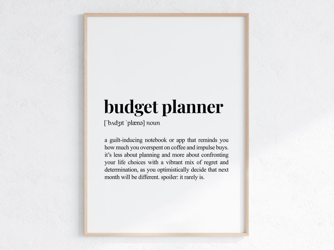 Budget Planner Definition Funny Sarcastic Dictionary Style Poster