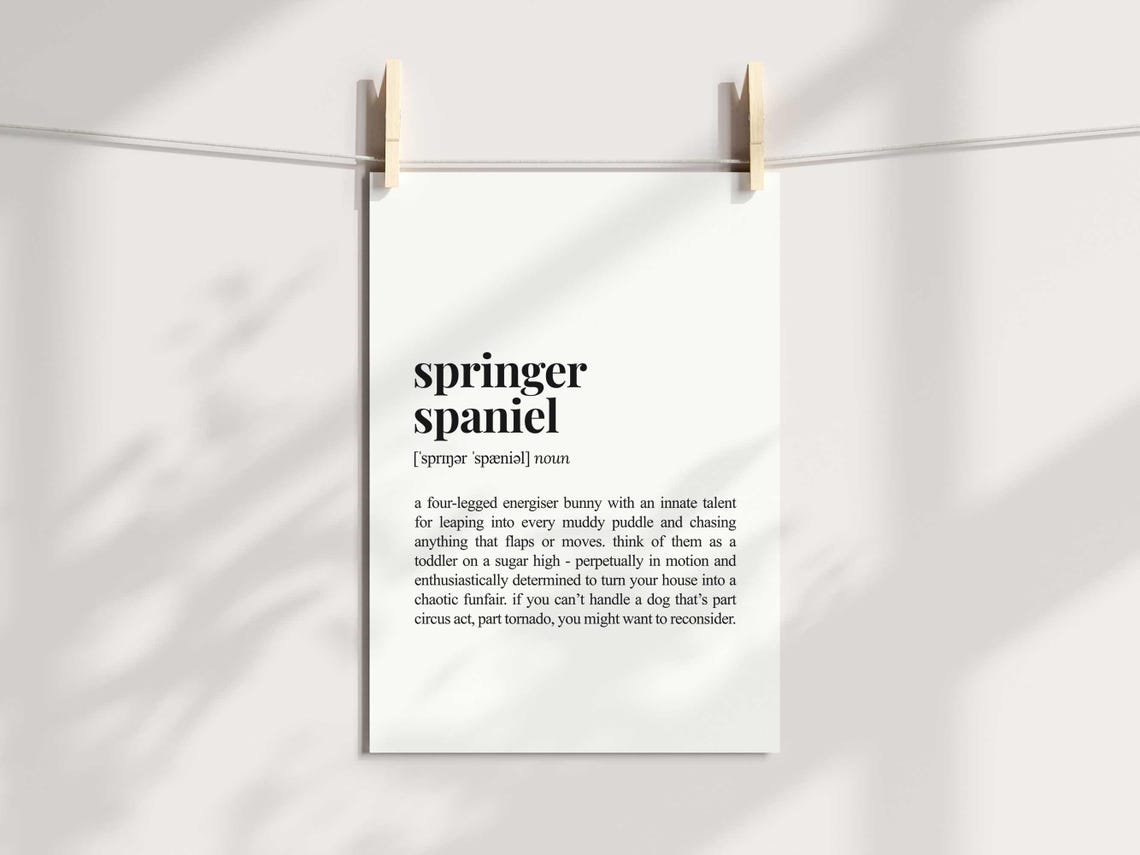 Springer Spaniel Funny Dictionary Definition Poster for Dog Lovers - Image 3