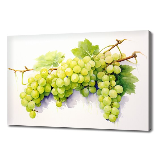 Green Grapes Fruits Watercolour Painting Print Fruits Lover Gift Kitchen Restaurant Wall Art Print Colourful Fruits Wall Decor