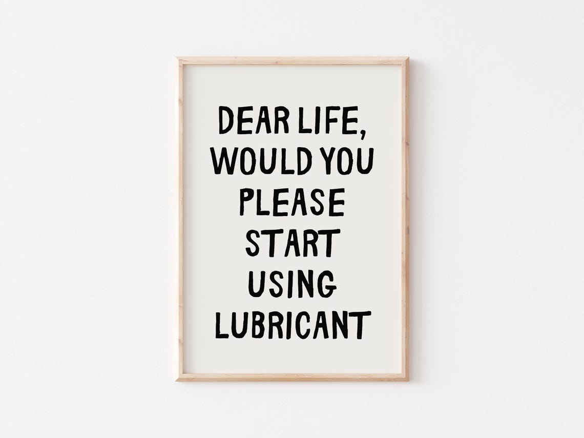 Dear Life Would You Please Start Using Lubricant Quote Poster - Image 2