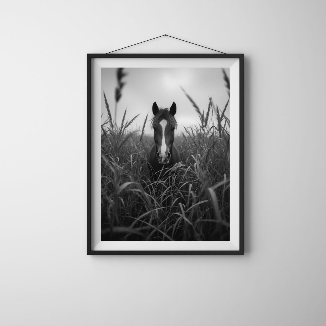 Black and White Horse in Tall Grass Rustic Photography Wall Art