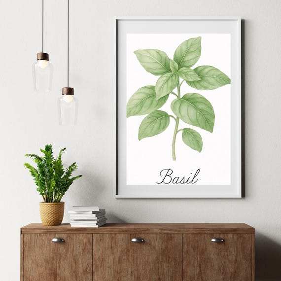 Basil Herb Wall Art Watercolor Botanical Print Kitchen Decor Png File