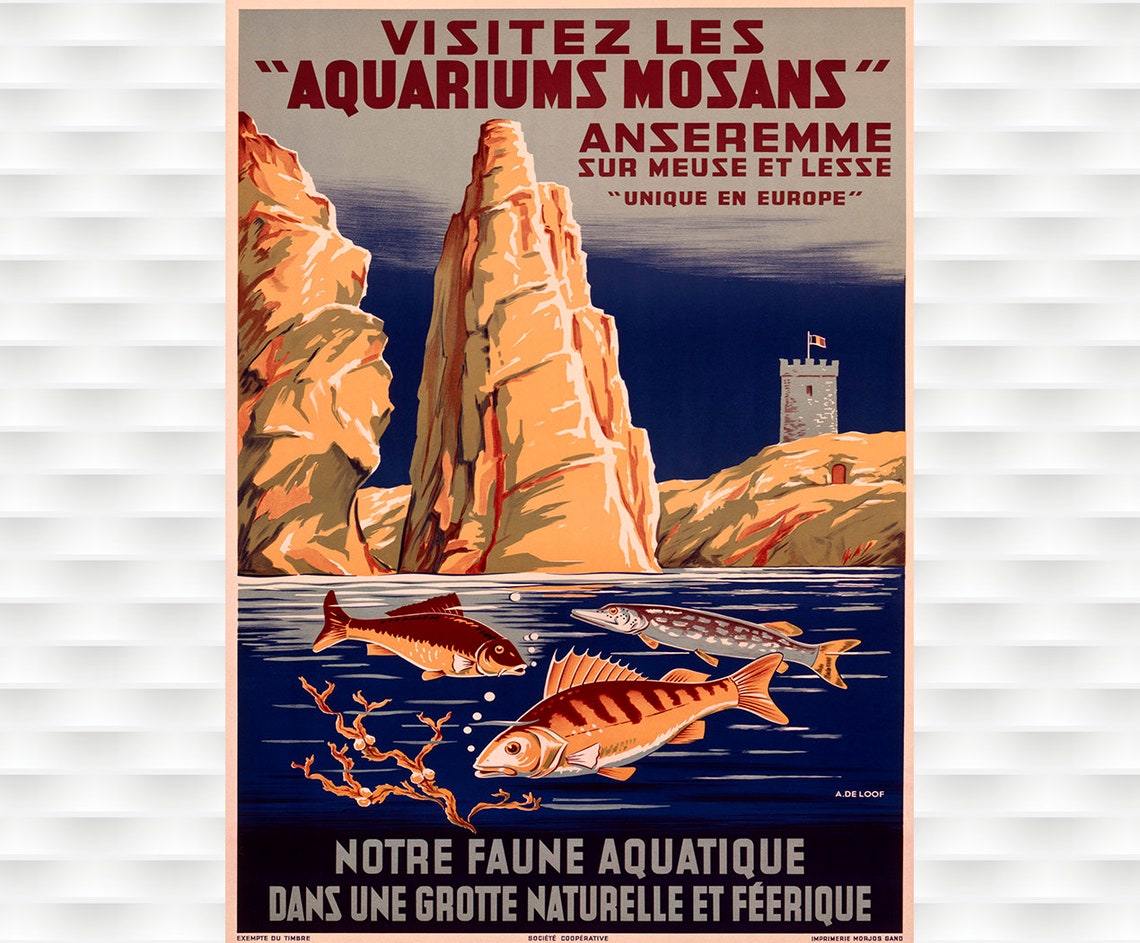 Aquariums Mosans Anseremme Fish Grotto Vintage Belgium Travel Poster