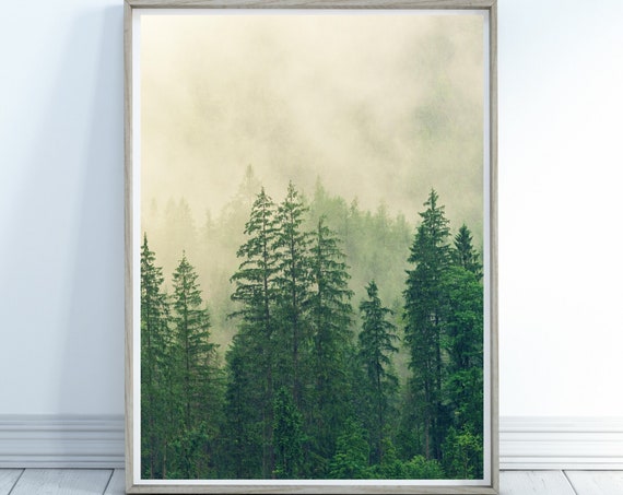 Trees Misty Trees Nature Home Decor Wall Art Trees Landscape Misty Scene