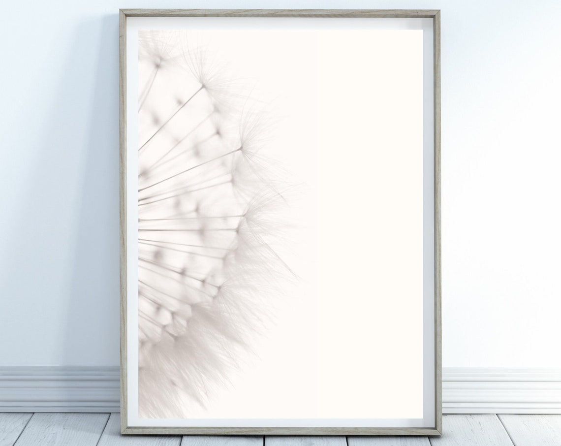 White Dandelion Poster Macro Seed Head On Soft Pale Background