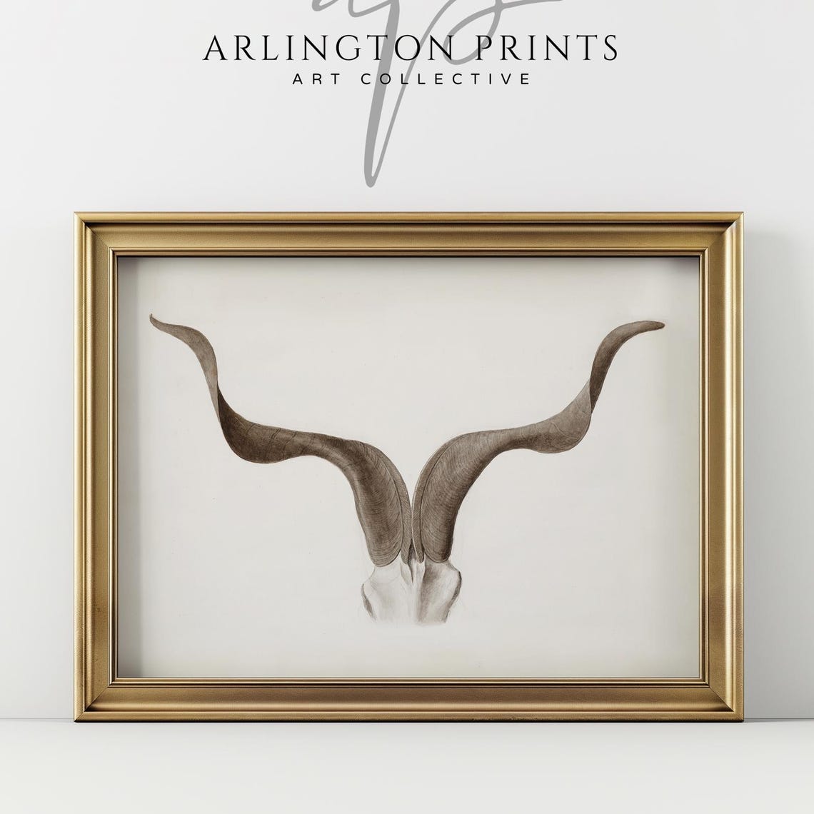 Longhorn Skull Neutral Minimalist Boho Farmhouse Animal Poster