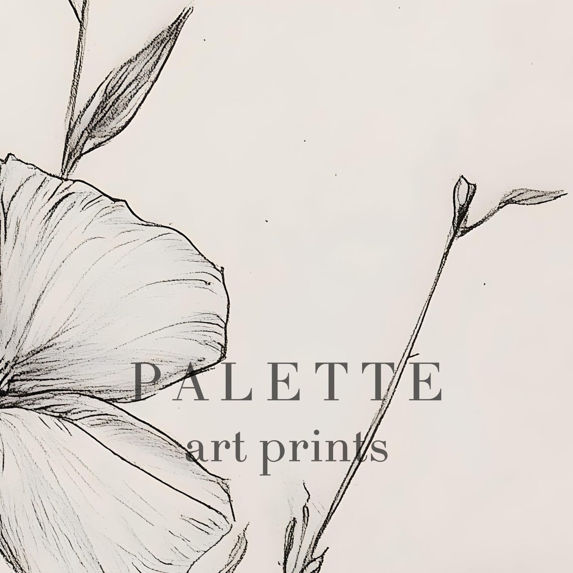 Delicate Single Wildflower Bloom Botanical Pencil Drawing Wall Art - Image 2