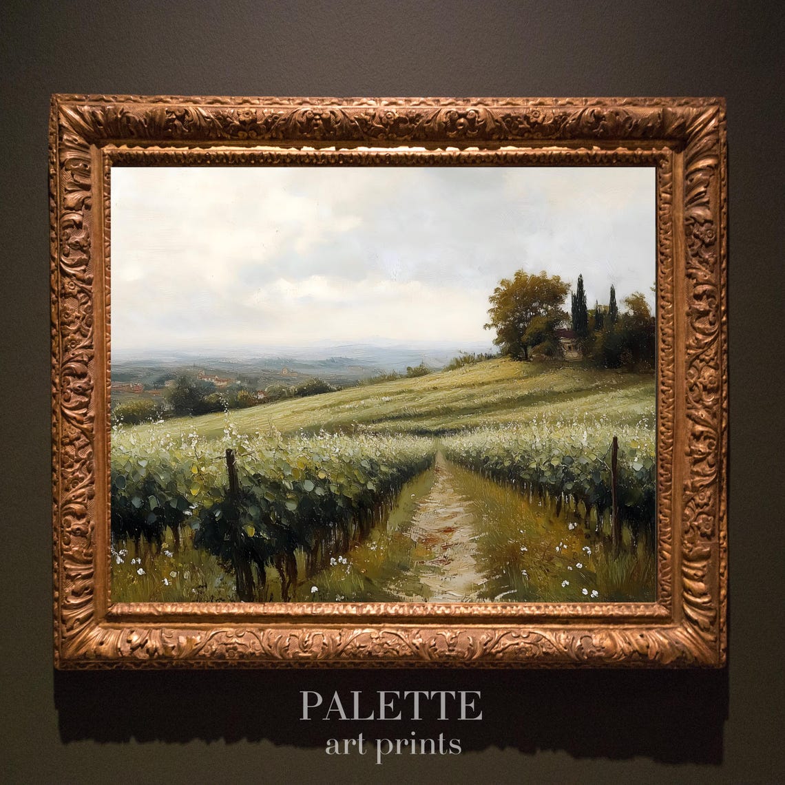Vineyard Rows Rolling Over Sunlit Hills With Cypress Trees Poster