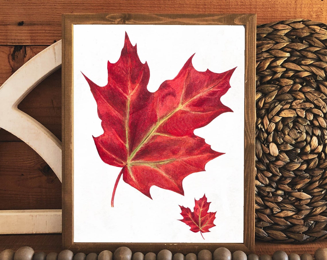 Rustic Autumn Red Maple Leaf Watercolor Fall Botanical Wall Art