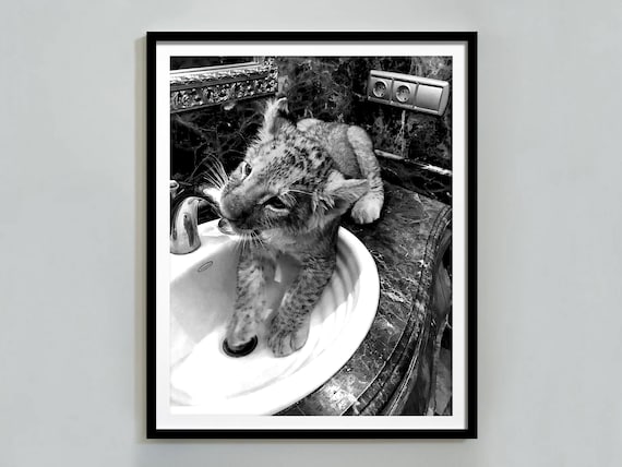 Lion Cub In Bathroom Sink Funny Black And White Animal Poster