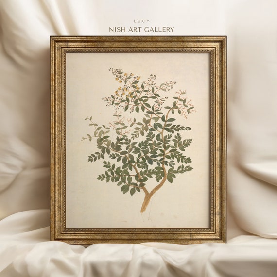 Botanical Print, Vintage Farmhouse Kitchen Decor